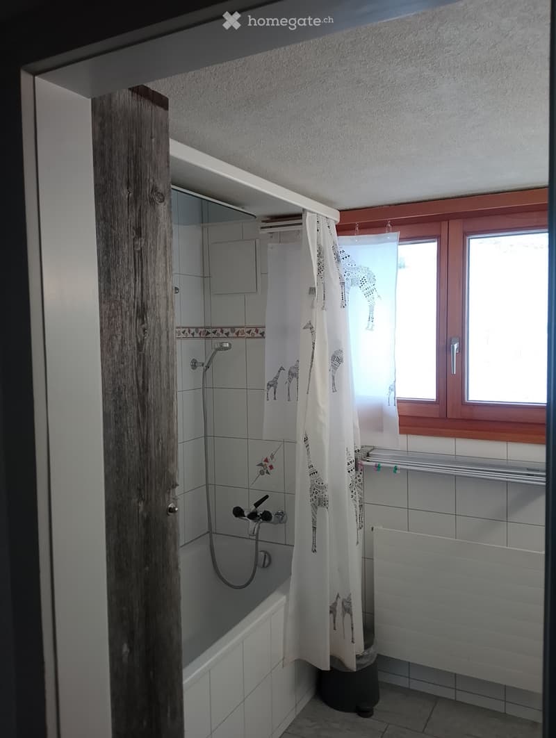 WG Zimmer zu Vermieten in der Natur nur für Männer (3)