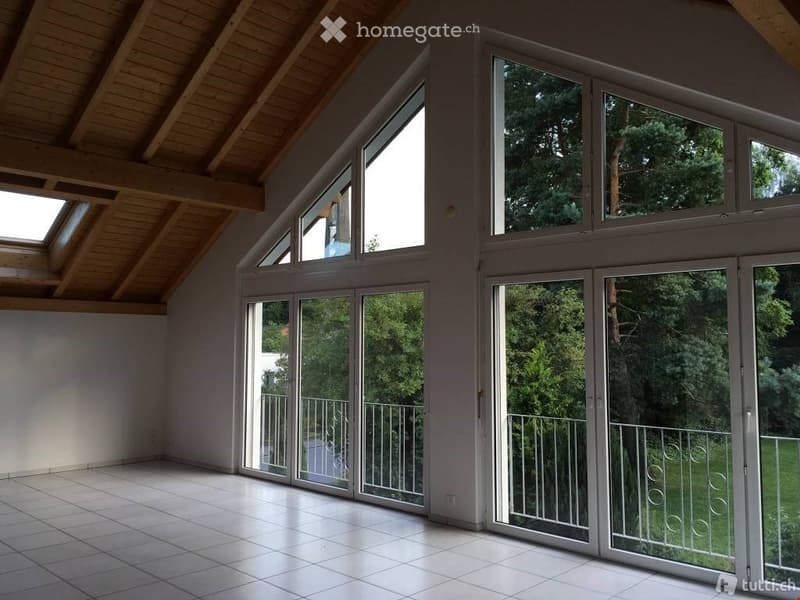 4.5 Zimmerwohnung  (266 m2) mit Balkon und Galerie (2)