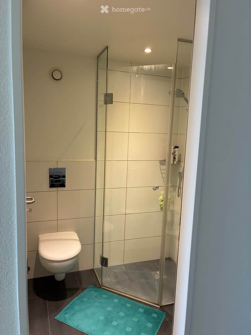 Ab 1 November bis ende April Möblierte 3 1/2 Zimmer Wohnung (5)
