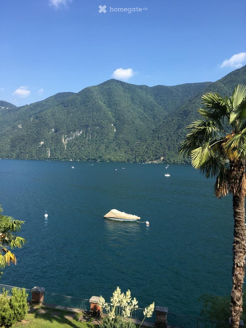 Bellissimo monolocale arredato a Castagnola (1)