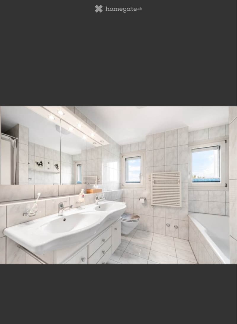 Wohnung in Brugg AG (3)