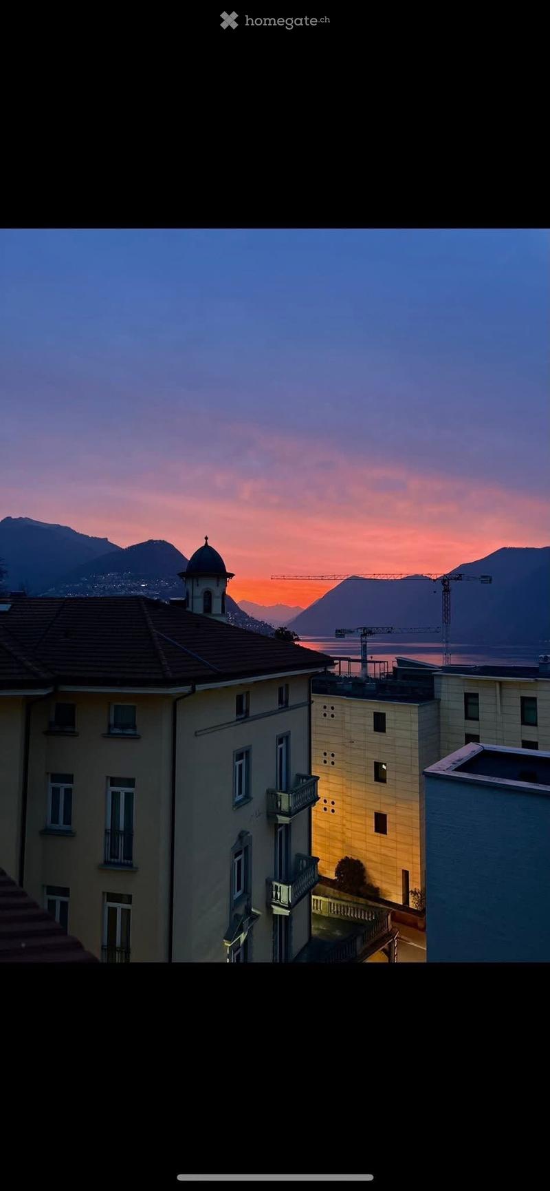 Cerco subentrante per 2.5 a Lugano (1)