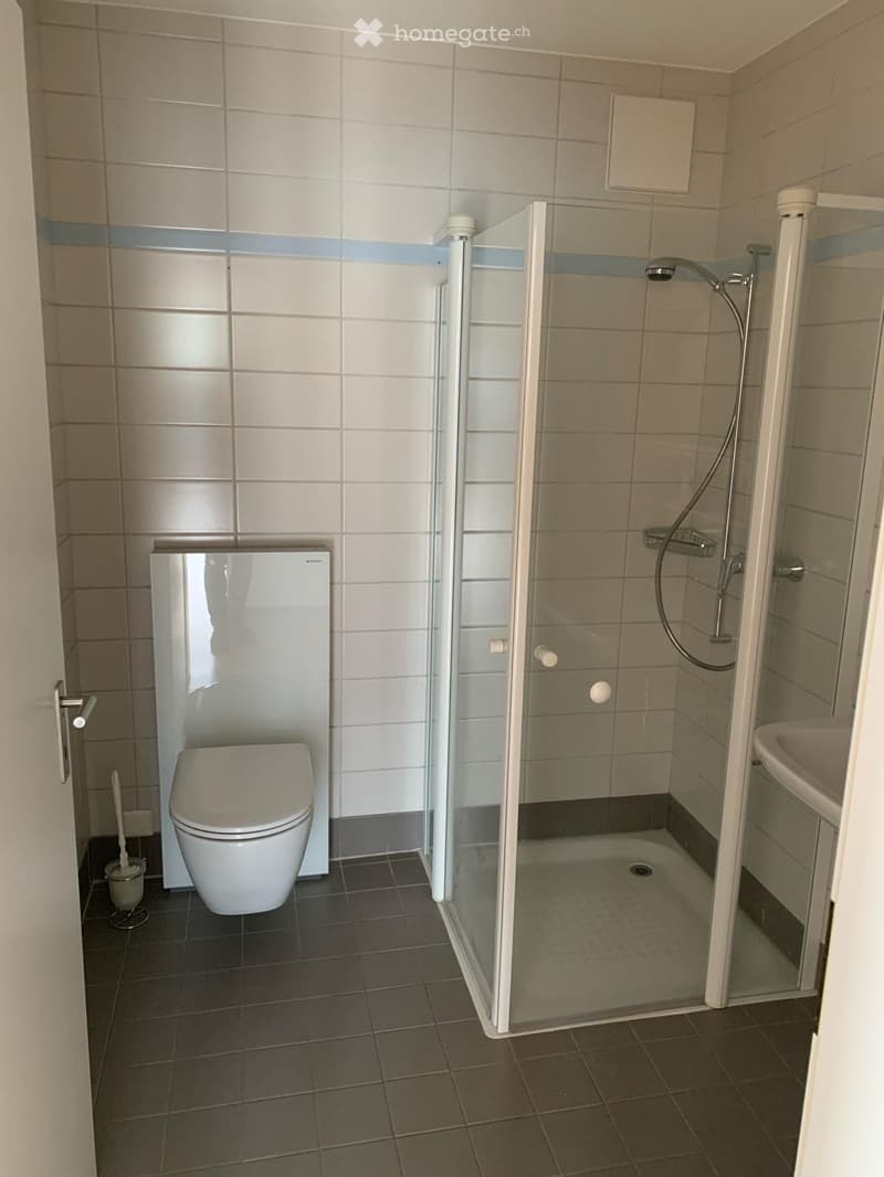 Lichtdurchflutete 3.5-Zimmer-Wohnung an ruhiger Lage (4)