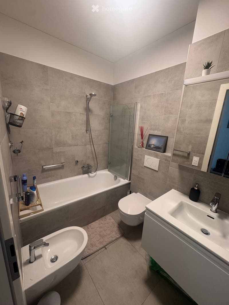 Lugano (Molino Nuovo) - 3 locali - cercasi subentrante (2)