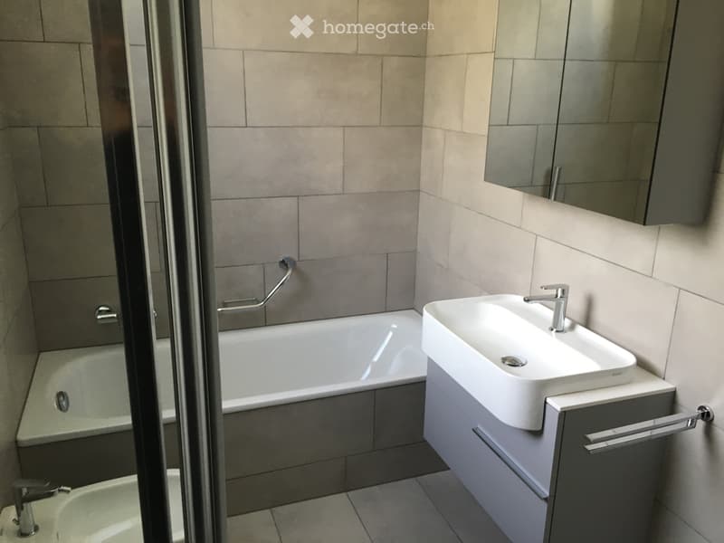 Bellinzona 3 e 1/2 locali (3)