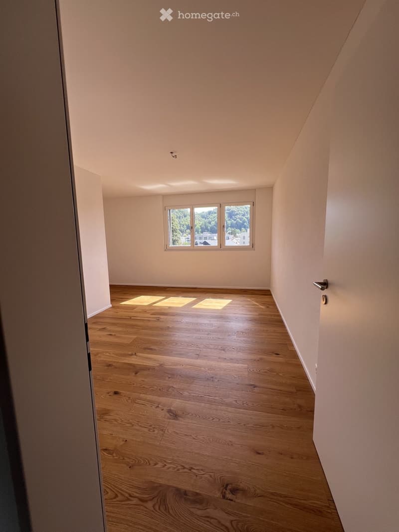 5 EXKLUSIVE NEUBAUWOHNUNGEN ERSTBEZUG IN KRADOLF (5)