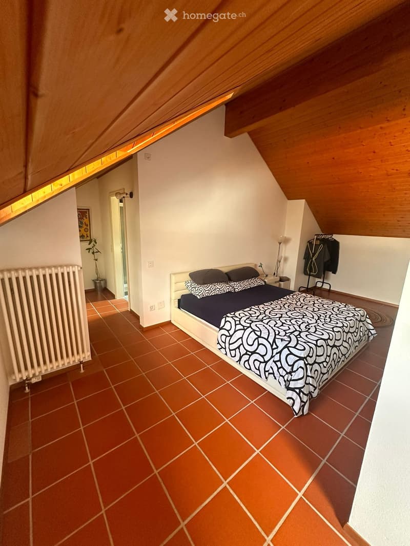 SUBENTRANTE CERCASI 2.5 LOCALI IN CITTÀ VECCHIA A LOCARNO (2)
