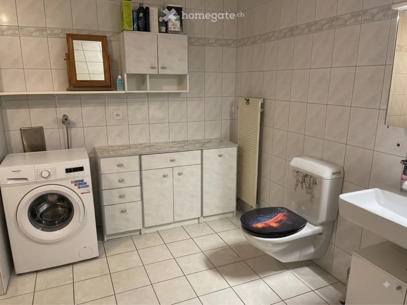 Wohnung mit grosser Terrasse (3)