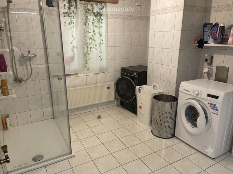 Wohnung mit grosser Terrasse (4)