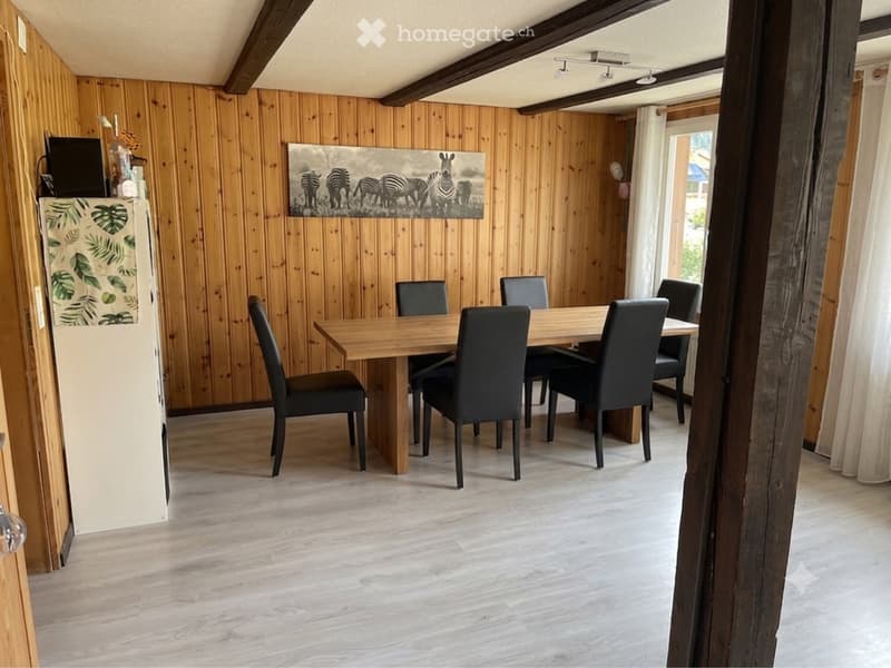 Wohnung mit grosser Terrasse (1)
