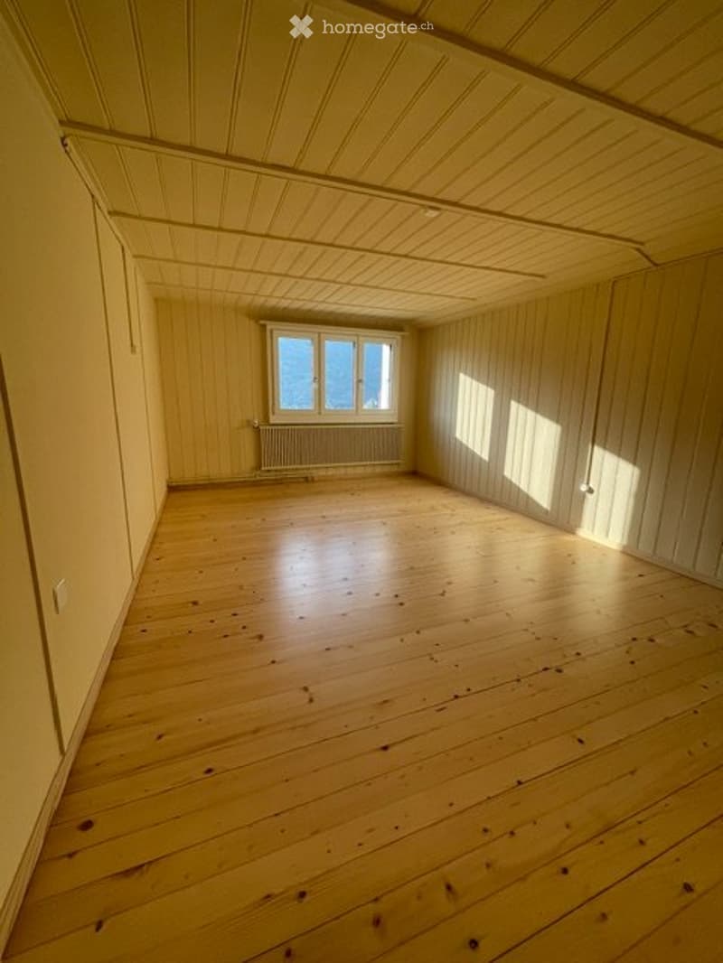 Einfamilienhaus im Grünen (3)