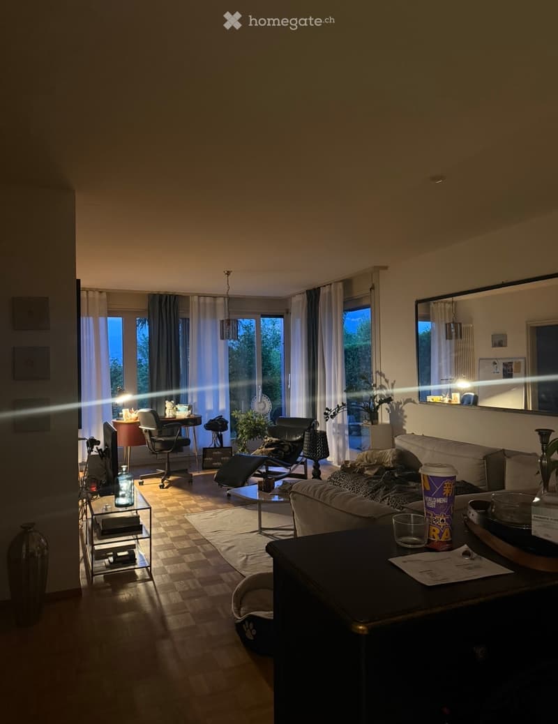 Appartamento con giardino e vista lago (1)