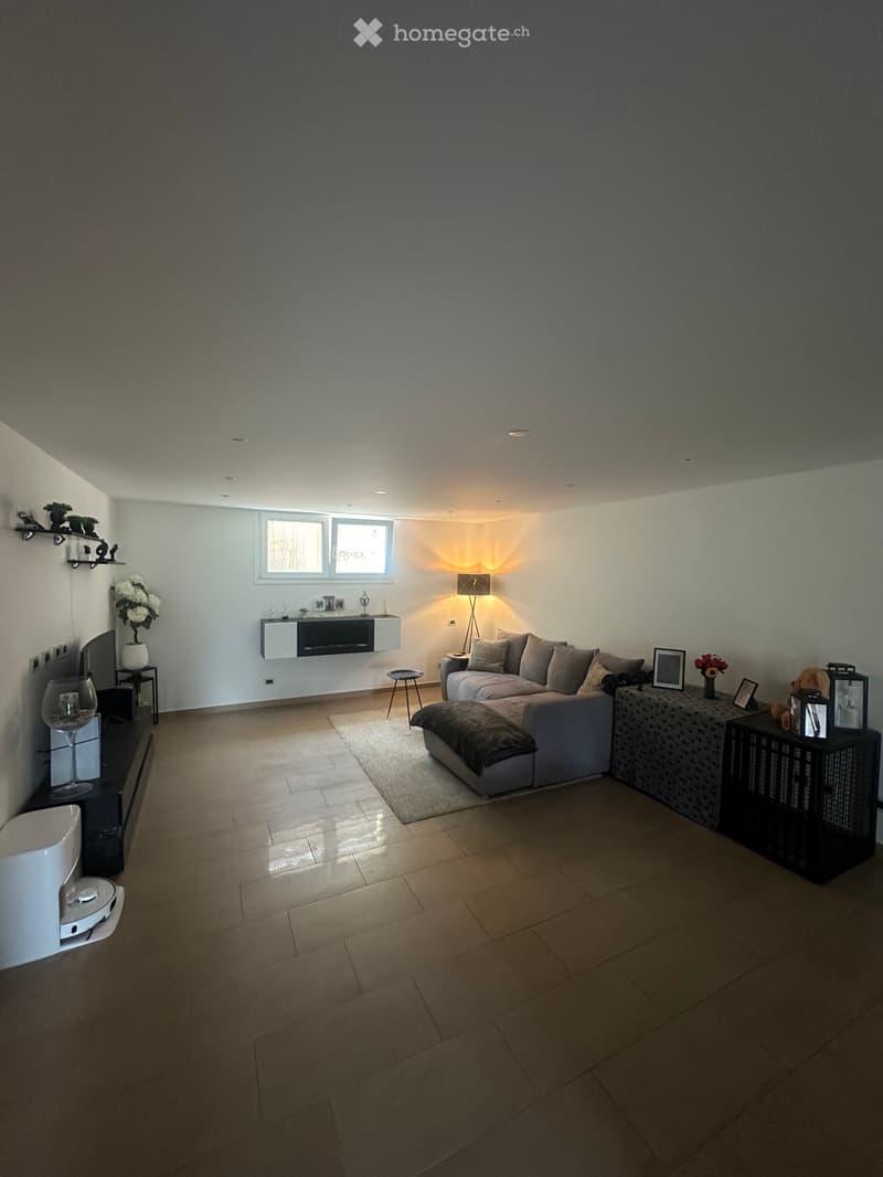 Grande appartamento 2,5 locali indipendente con giardino (2)