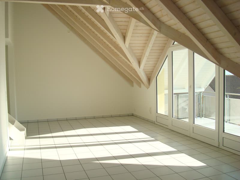 ***Charmante Maisonettewohnung*** (3)