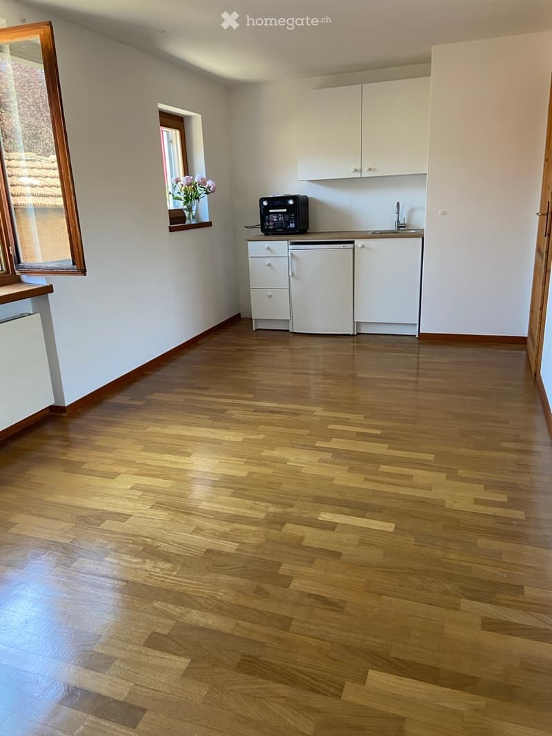 Vermiete 2 Zimmer in ruhigem Einfamilienhaus (3)