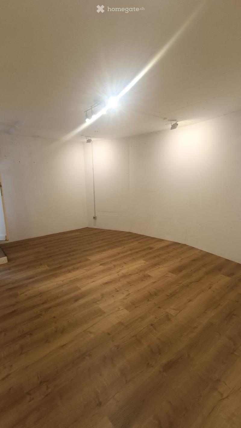 Moderner, vielseitiger Hobbyraum  ca. 20 m² (3)
