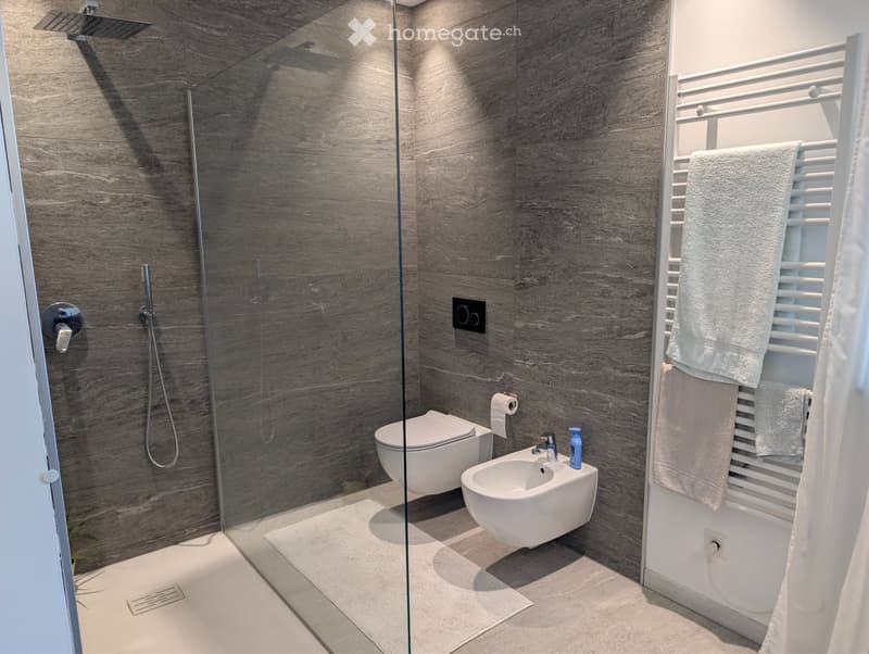 3,5 locali moderno e luminoso allultimo piano Chiasso (4)