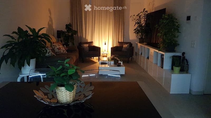 3,5 locali moderno e luminoso allultimo piano Chiasso (2)