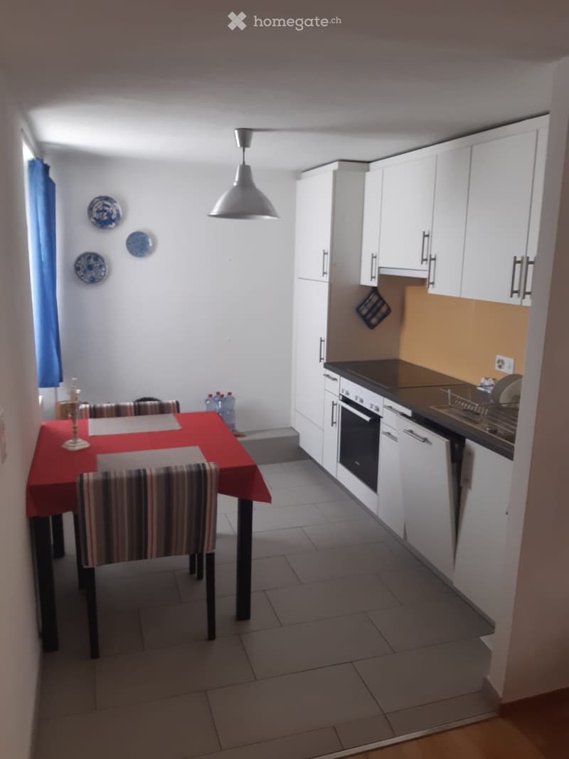 Affittasi Appartamento 2 locali nel Centro Storico Locarno (2)