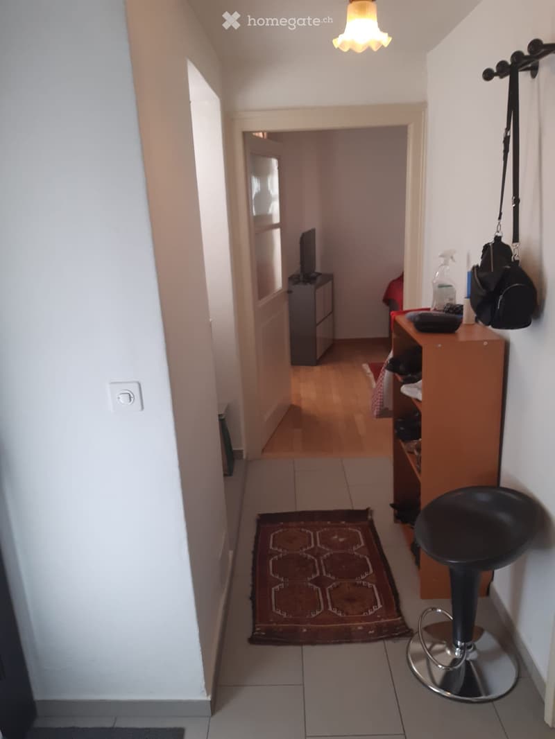 Affittasi Appartamento 2 locali nel Centro Storico Locarno (4)