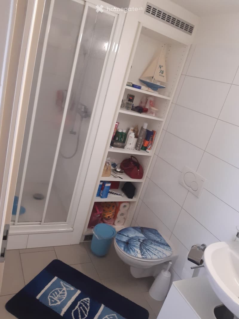 Affittasi Appartamento 2 locali nel Centro Storico Locarno (5)