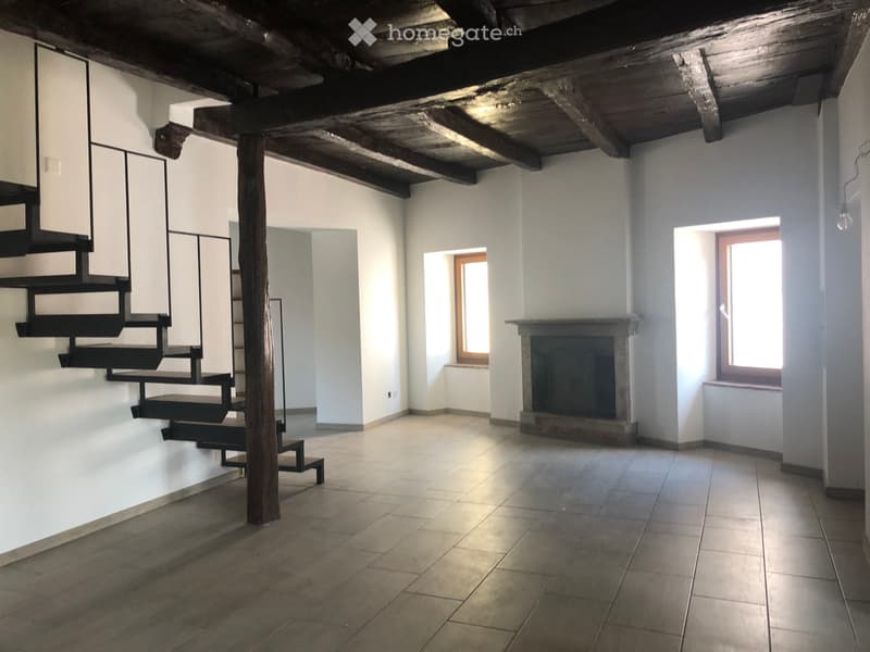 Luminoso, accogliente appartamento ristrutturato (3)