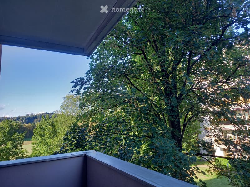 1 5 Zimmer Erstbezug nach Renovierung mit schönem Ausblick (3)