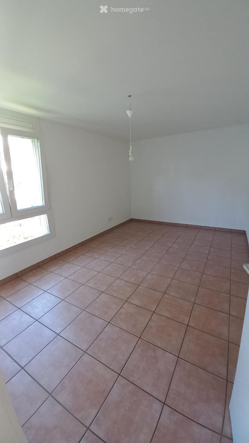 Affittasi appartamento Ascona (3)