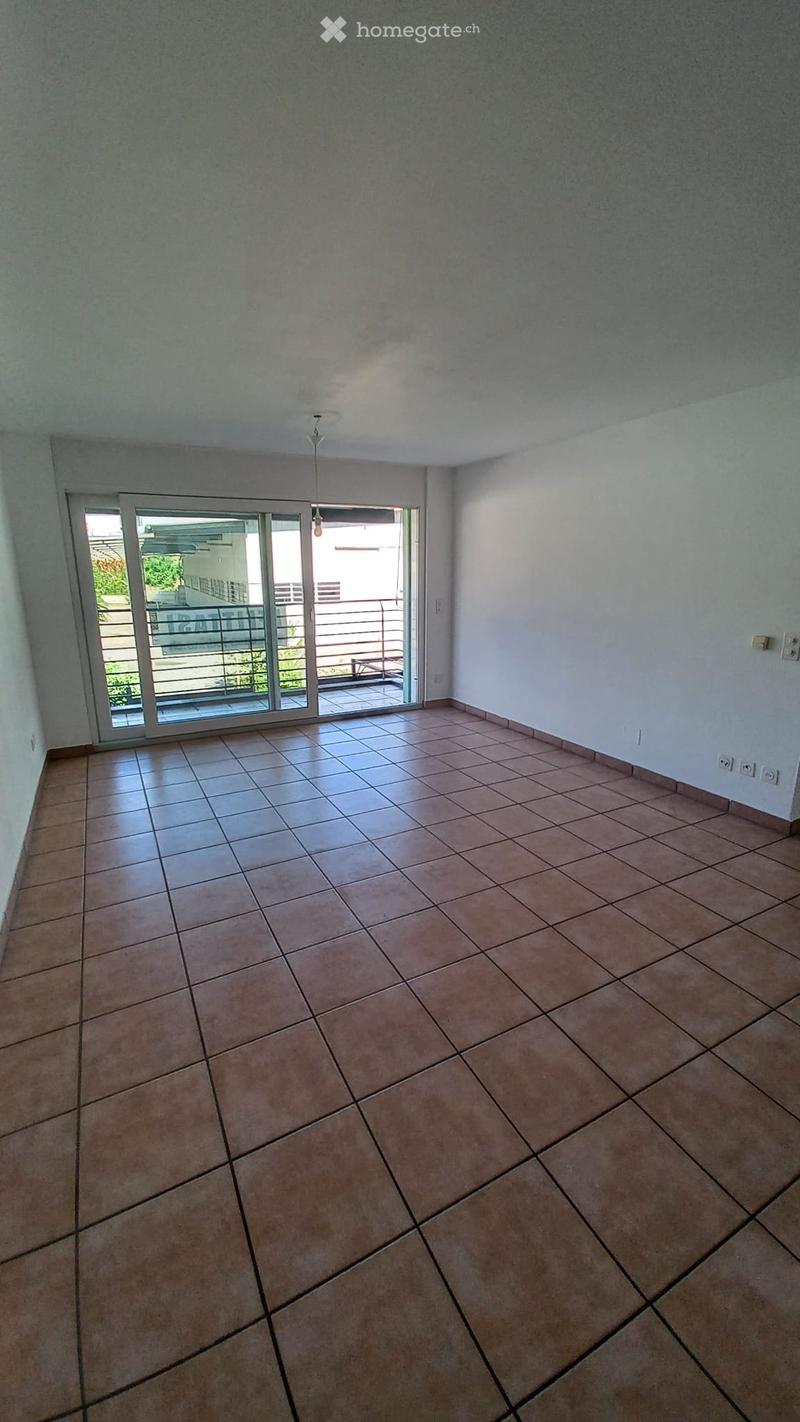 Affittasi appartamento Ascona (2)
