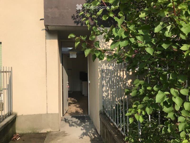Appartamento in affitto a Paradiso (1)