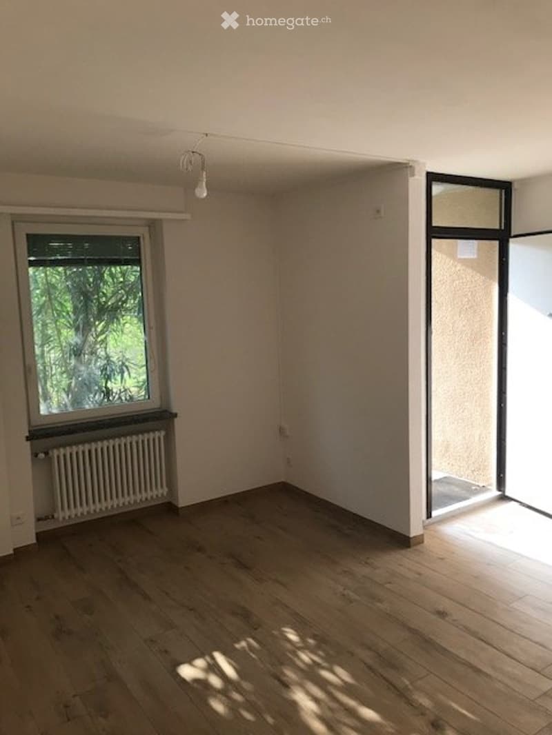Appartamento in affitto a Paradiso (4)