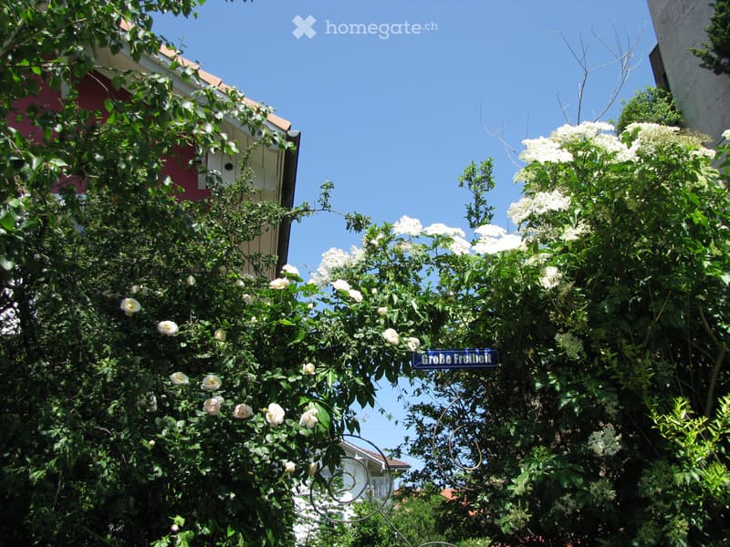 Gartenwohnung Thun 4.5 Zimmer im grünen (3)