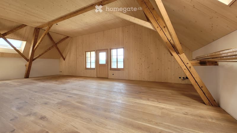 Neue Dachwohnung im Grünen 60 Min. Bern/Luzern (2)