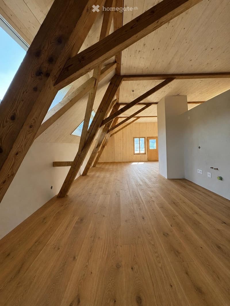 Neue Dachwohnung im Grünen 60 Min. Bern/Luzern (3)