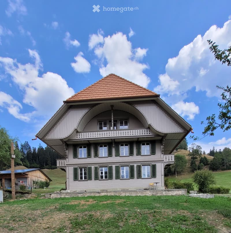 Neue Dachwohnung im Grünen 60 Min. Bern/Luzern (1)