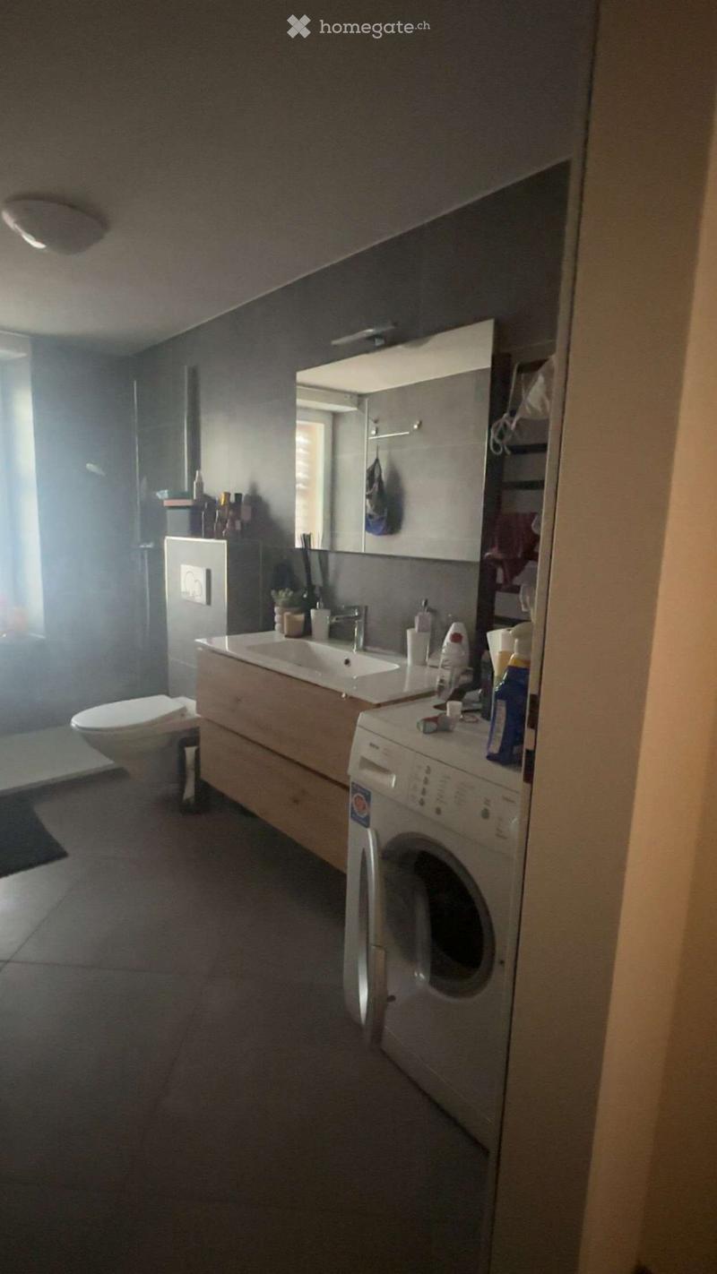 Geräumige 4.5 Zimmer Wohnung in der Gemeinde Hallau (5)