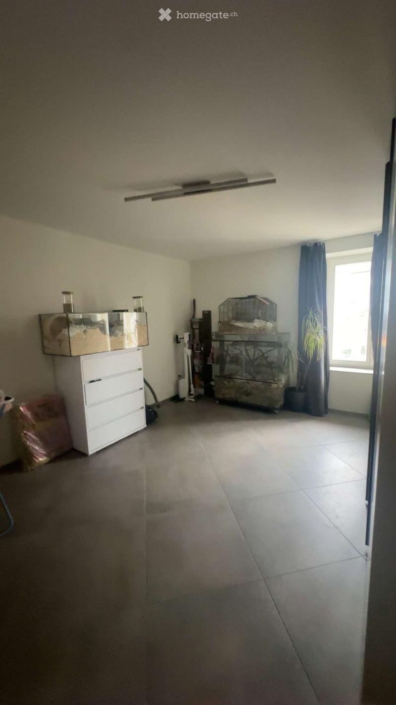 Geräumige 4.5 Zimmer Wohnung in der Gemeinde Hallau (4)