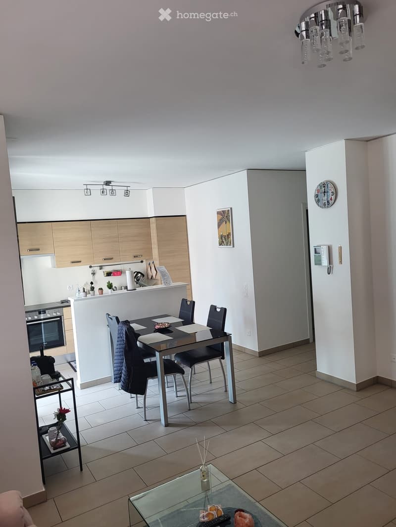 Appartamento moderno per affitto breve Lugano (4)