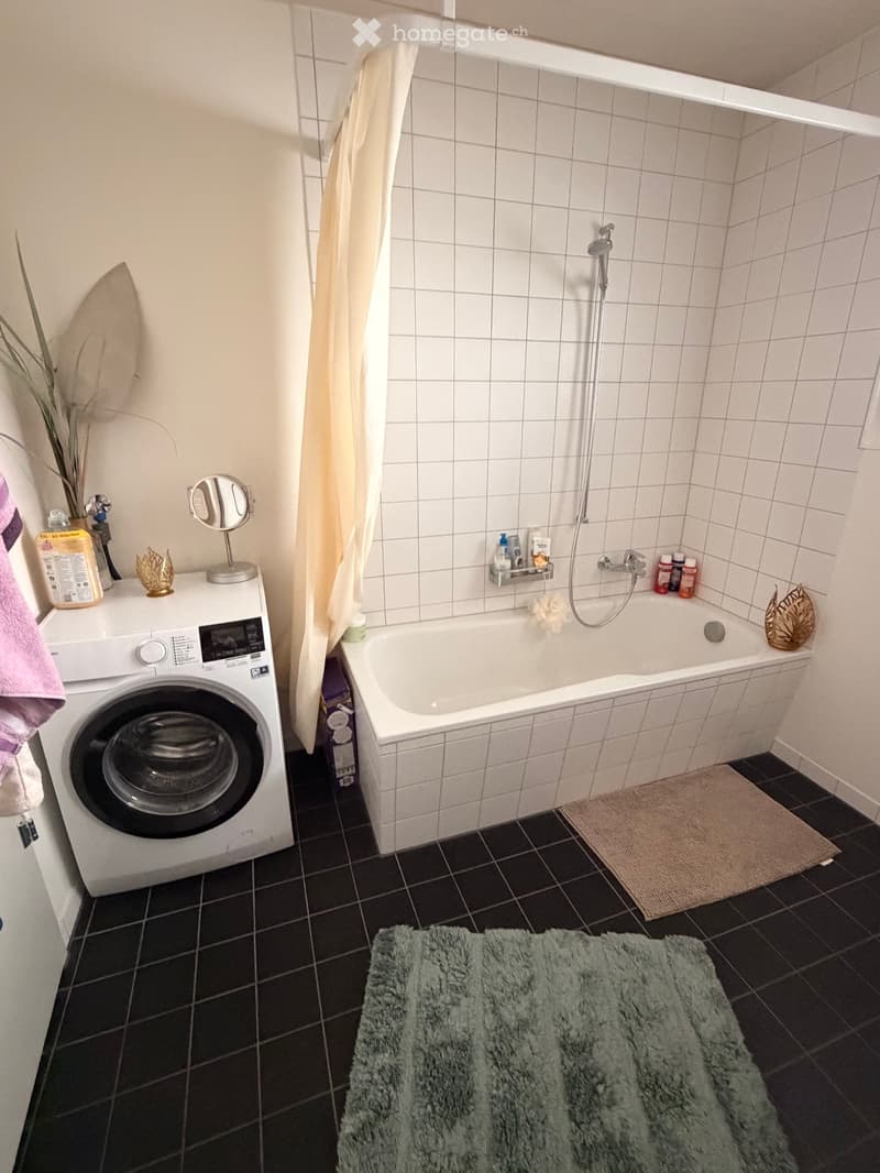 Charmante 3.5-Zimmer Wohnung zu vermieten (5)