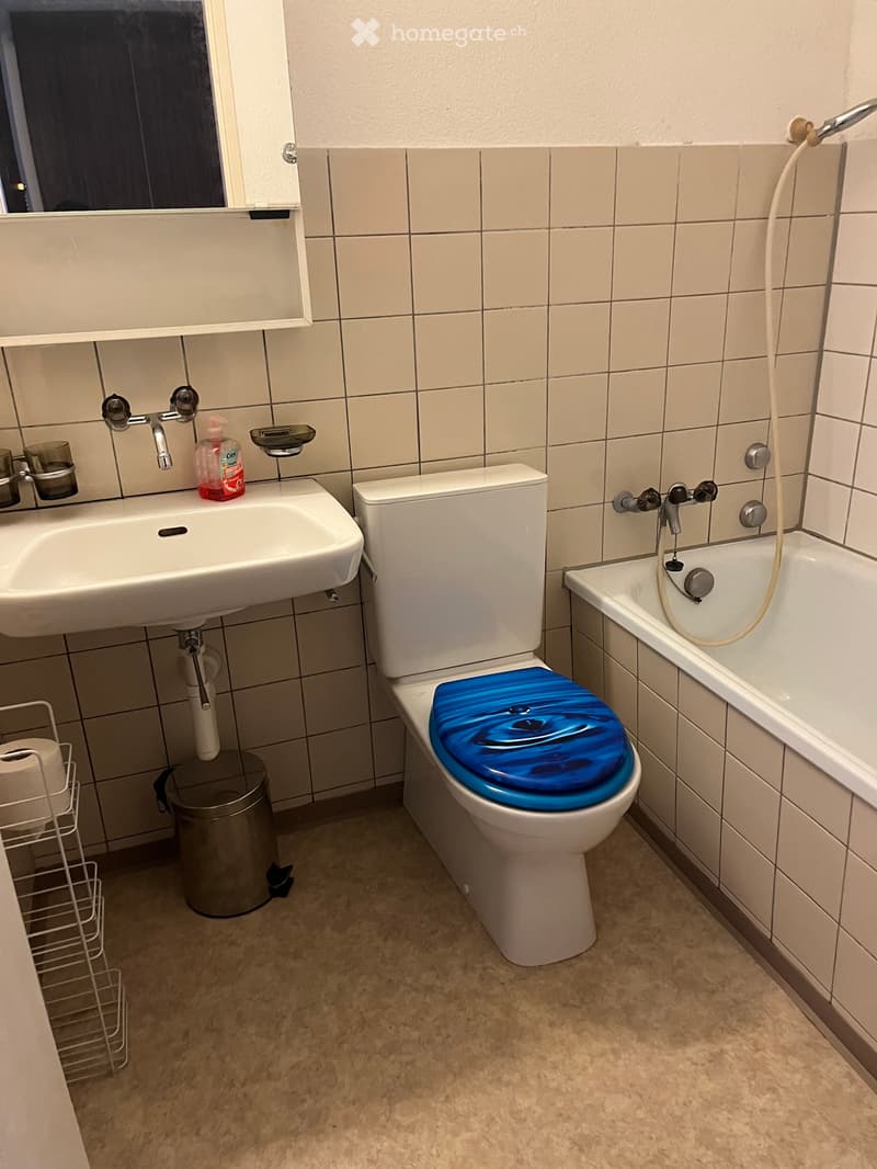 Preiswerte Wohnung (3)