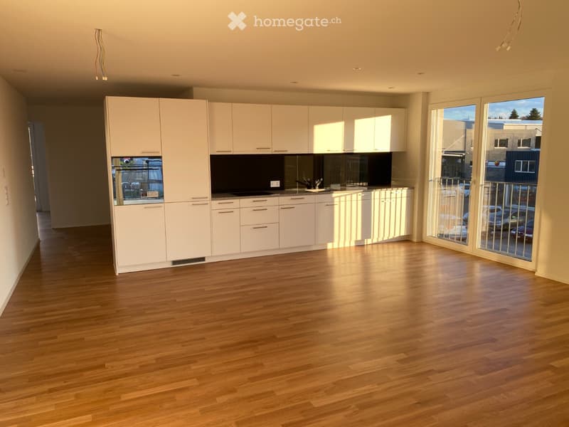 Moderne 3.5 Zimmer Wohnung am See (1)