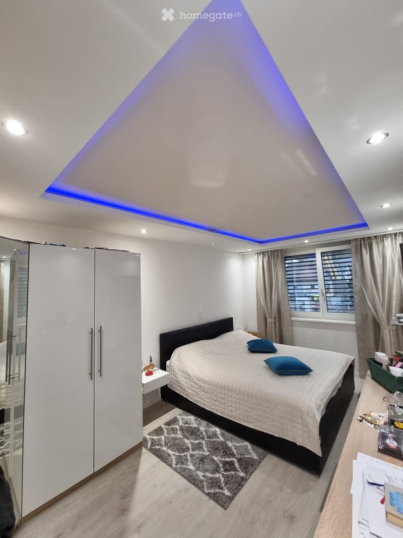 Luxuriöse 4.5 Zimmer Wohnung in Bennwil (4)