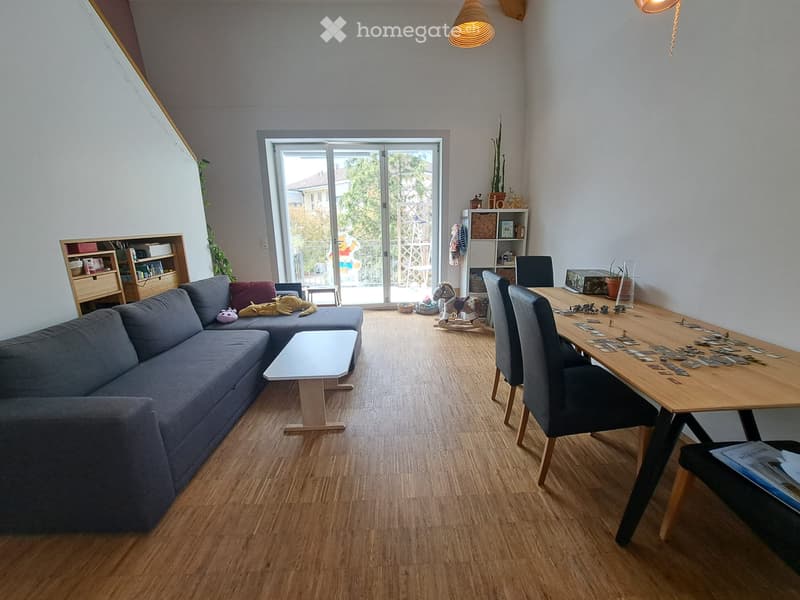 Grosszügige 3.5Zi Maisonette Wohnung nähe Insel ab 1.Nov (1)