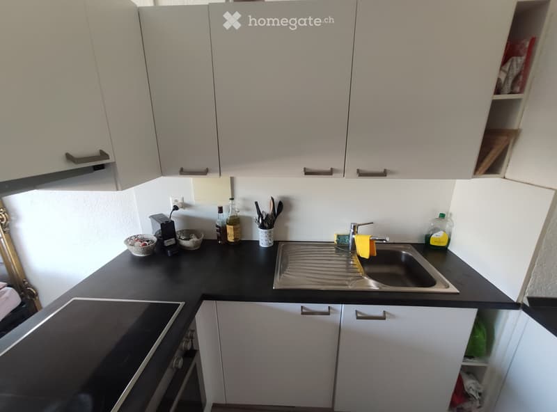 Appartamento 1.5 con piscina vicino la stazione di Lugano (5)