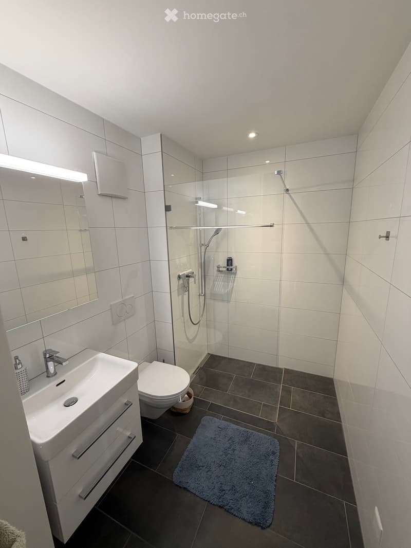 Nachmieter per 1. Dezember 2026 gesucht - 3.5-Zimmer Wohnung (4)