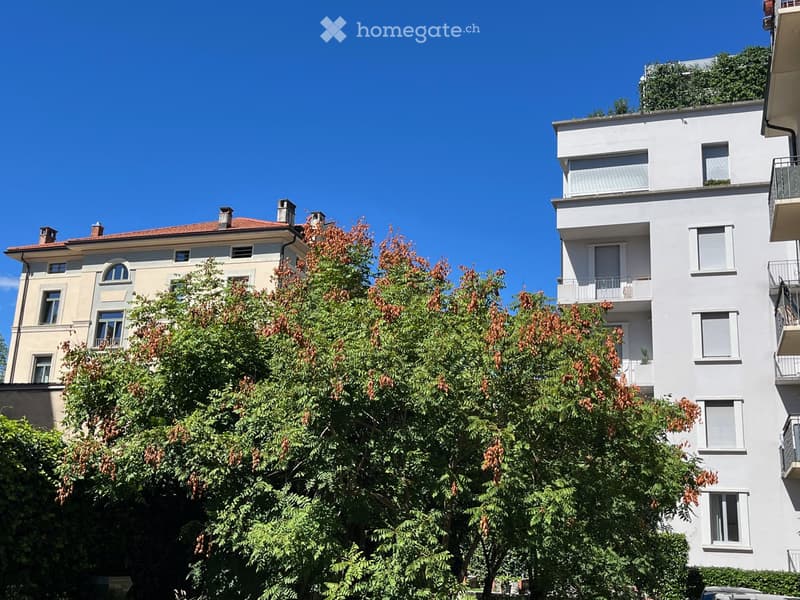 Appartamento /ufficio luminoso e rinnovato zona università (1)