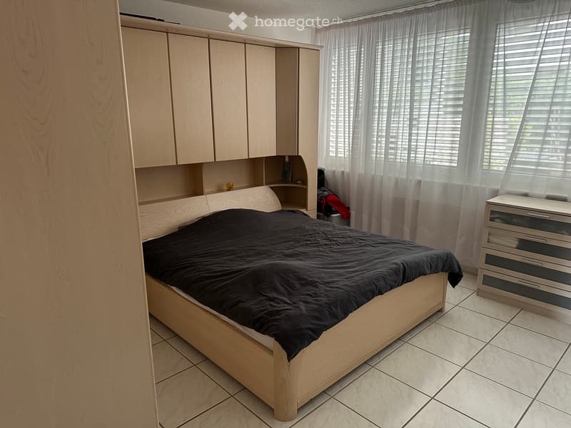 Aussergewöhnliche 5.5-Zimmer-Loftwohnung mit grossem Garten (4)