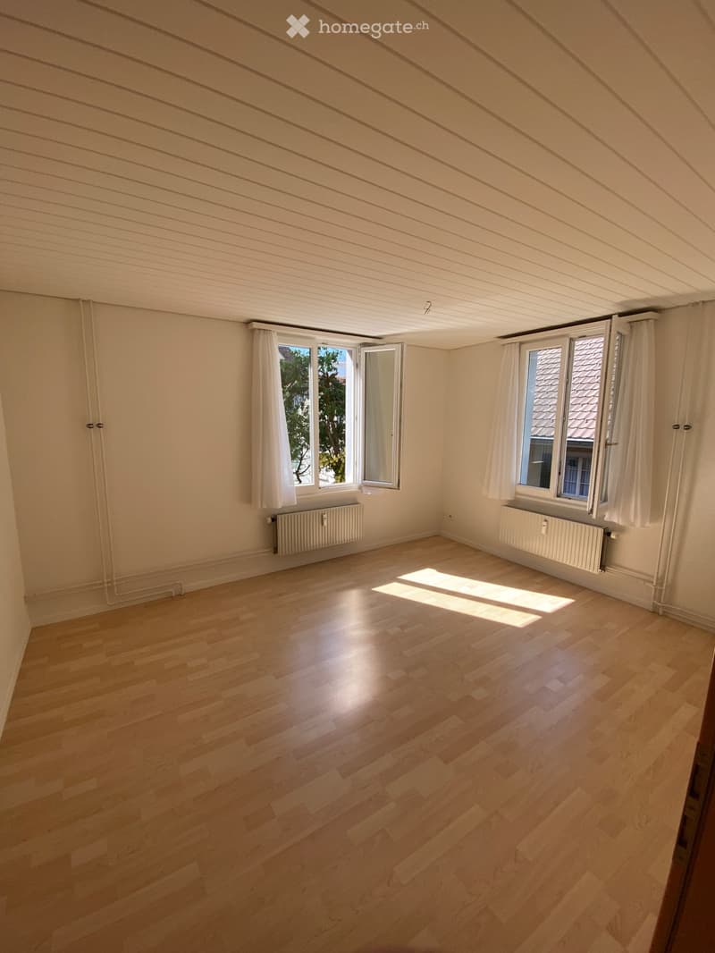 3-Zimmer-Altbauwohnung mit Seesicht in 6415 Arth (3)