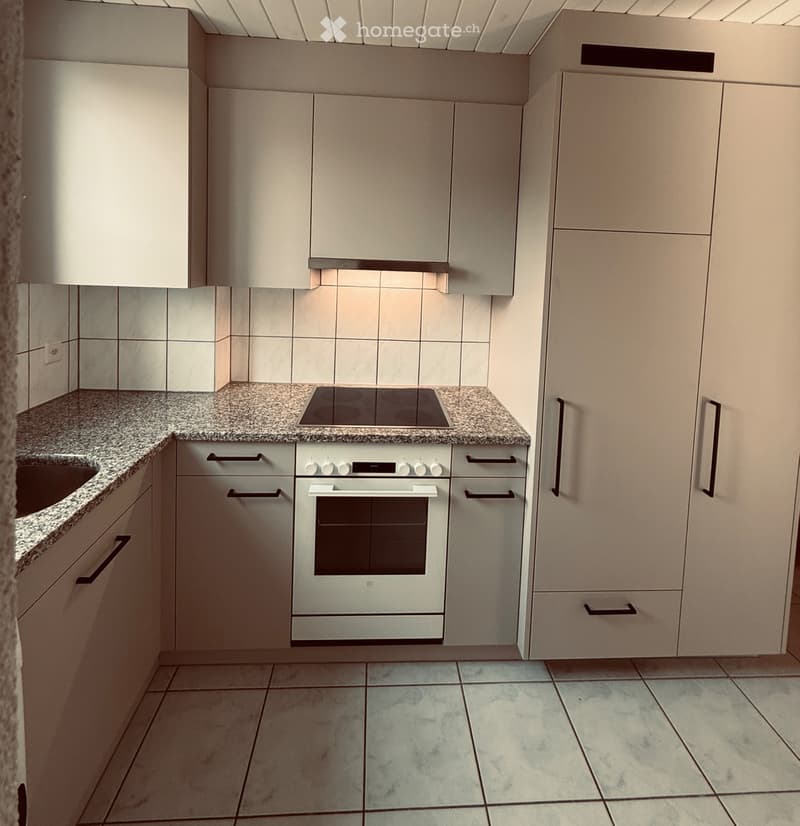 3-Zimmer-Altbauwohnung mit Seesicht in 6415 Arth (1)