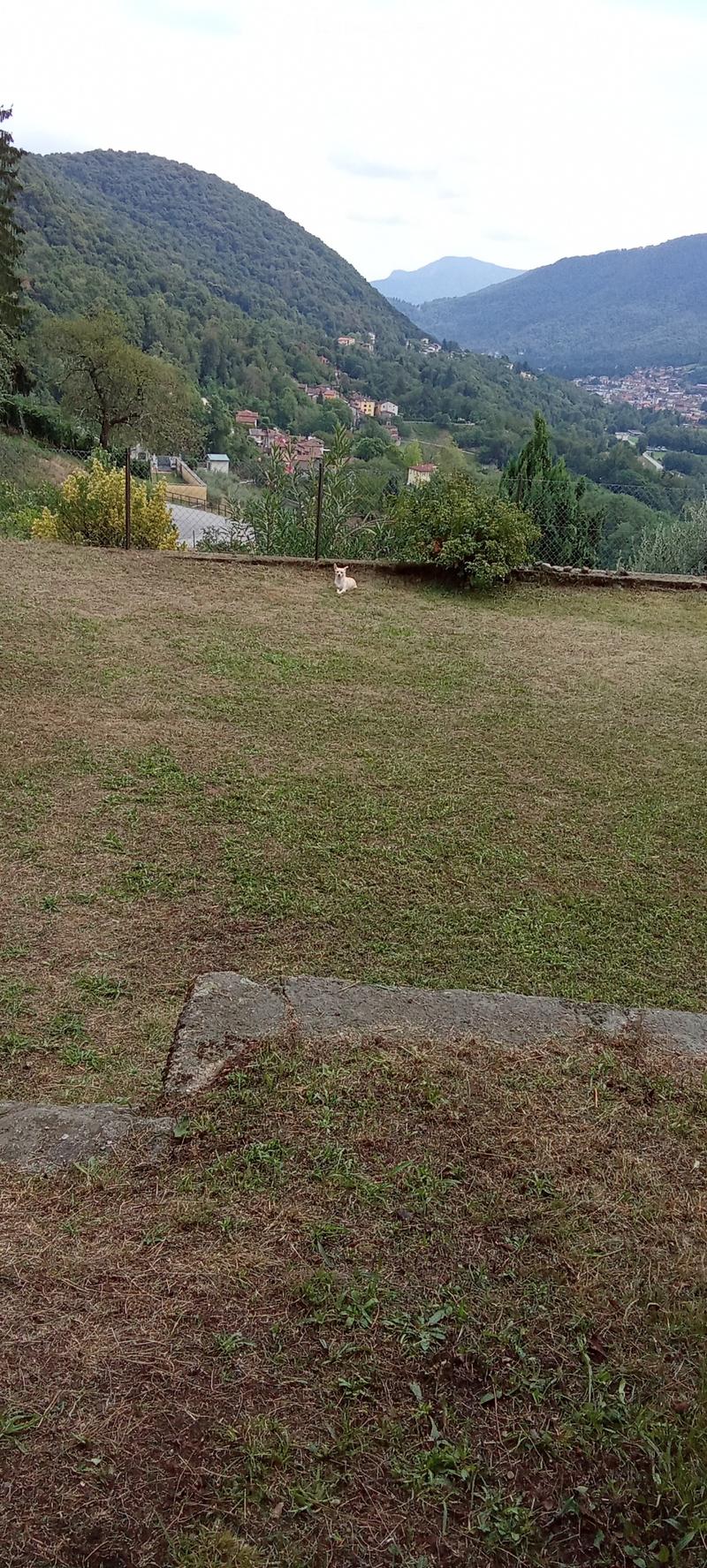 Appartamento con giardino (5)